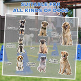 PawHut Dog Agility Equipment Set of Six Cones, Six Poles with Carry Bag, Three-Piece Adjustable Height Jumping Obstacles, Blue