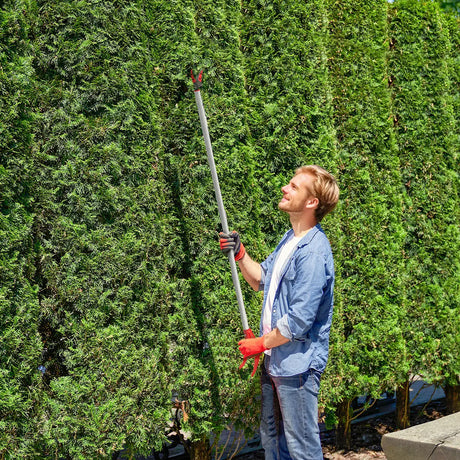 Outsunny 120 cm Tree Pruner, Tree Lopper Long Reach, Lightweight & Strong, Long Reach Tree Trimmer with Aluminium Pole for Fruit Picking and Pruning