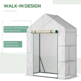 Outsunny Walk In Greenhouse with 2 Tier Shelf, Portable Gardening Plant Grow House Tomato Greenhouse with Roll up Zip Panel Door, Reinforced PE Cover, 143 x 73 x 195cm, Green