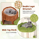 Multi-level Cat Tree Tree Hole Designed Cat Tower with Double Decker Cat House-Brown