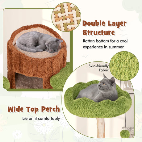 Multi-level Cat Tree Tree Hole Designed Cat Tower with Double Decker Cat House-Brown
