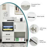Home Office Mobile File Cabinet with 2 Drawers 2 Open Shelves and Door-White