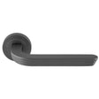 CLOUD LEVER ON CONCEALED FIX ROUND ROSE ANT (ANTHRACITE) - ANTHRACITE - PAIR
