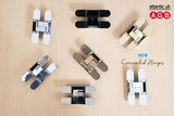 AGB Eclipse Adjustable Concealed Hinge - Polished Brass - Each