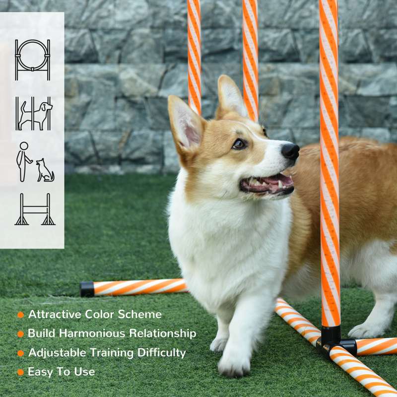 PawHut Dog Agility Equipment Pet Training Set with Adjustable Height Jump Ring Hurdle Whistle Weave Poles Square Pause Box Carry Bag