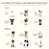 PawHut Raised Dog Feeding Bowls with Stand, Stainless Steel for Medium Dog, 58L x 31W x 25H cm - White