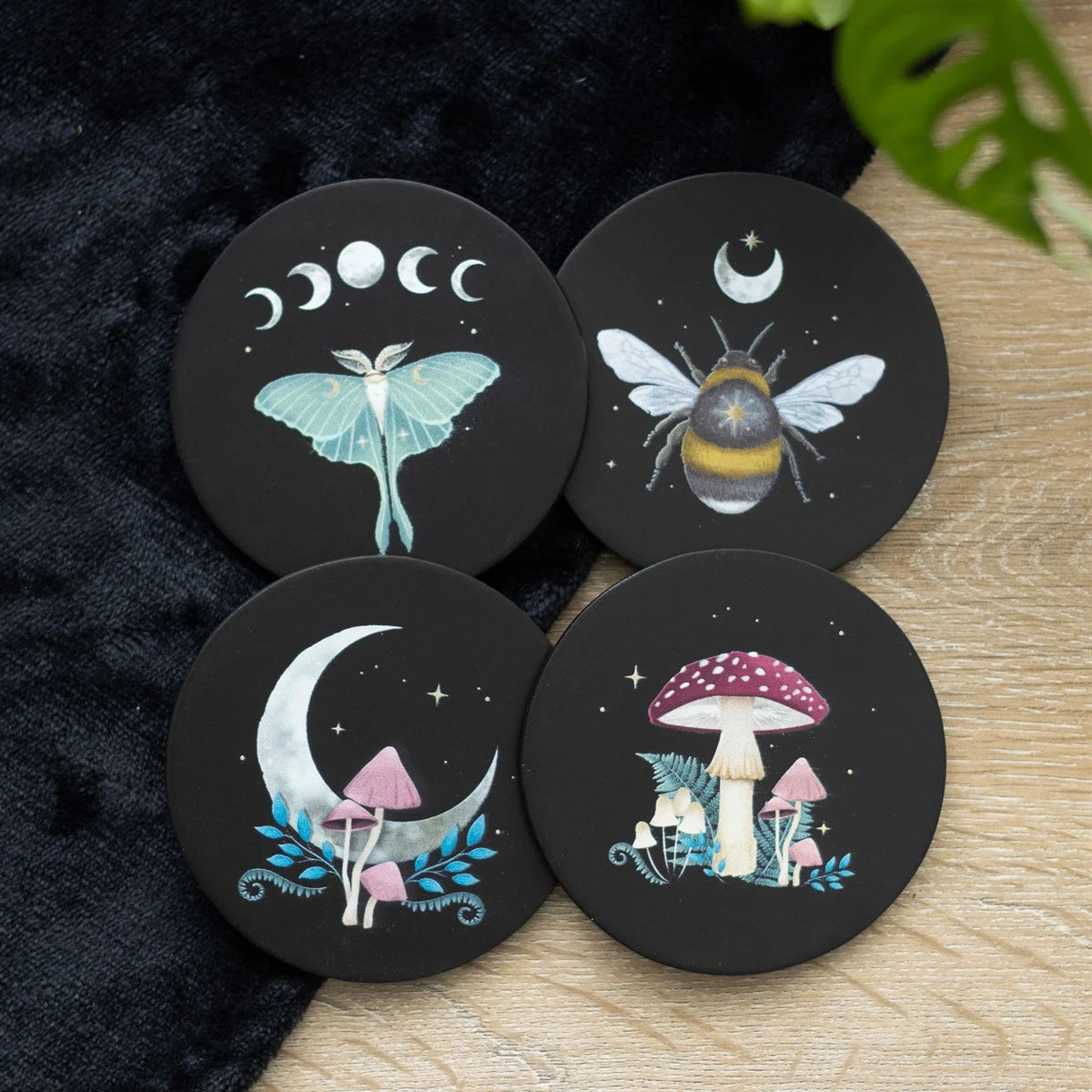 Dark Forest Coaster Set