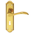 MADRID LEVER ON BACKPLATE - LOCK 57MM C/C - POLISHED BRASS - 180MM X 45MM - PAIR