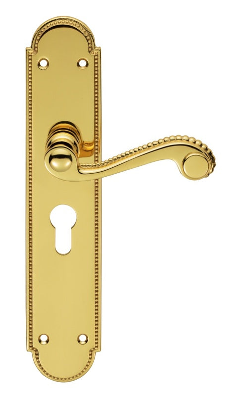 CHESHAM LEVER ON BACKPLATE - LOCK EURO PROFILE 47.5MM C/C - POLISHED BRASS - 248MM X 48MM - PAIR