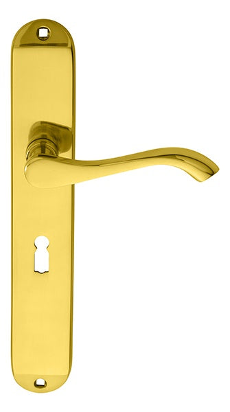 ANDROS LEVER ON BACKPLATE - LOCK 57MM C/C - POLISHED BRASS - 242MM X 40MM - PAIR