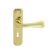 EDEN LEVER ON BACKPLATE - LOCK 57MM C/C - POLISHED BRASS - 180MM X 40MM - PAIR