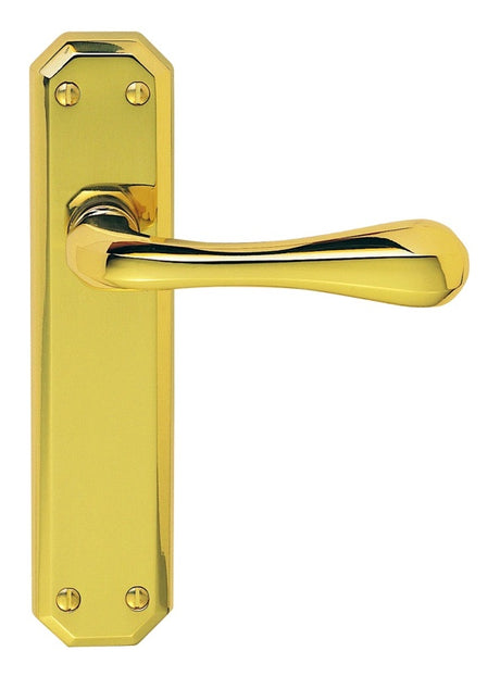 EDEN LEVER ON BACKPLATE - LATCH - POLISHED BRASS - 180MM X 40MM - PAIR