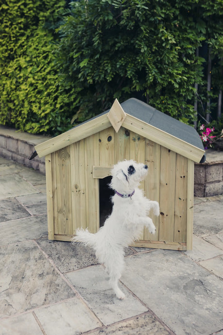 APEX DOG KENNEL - SML - W60CM X D75CM