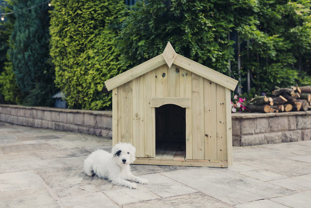 APEX DOG KENNEL - MED - W75CM X D90CM
