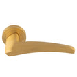 DUNE LEVER ON CONCEALED FIX ROUND ROSE OSA (SATIN BRASS) - SATIN BRASS - PAIR