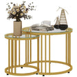 HOMCOM Round Coffee Tables Set of 2, Nesting Tables with Tempered Glass Top and Steel Frame, 60cmx60cmx47cm, Gold Tone