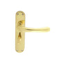 IBRA LEVER ON BACKPLATE - BATHROOM 57MM C/C - STAINLESS BRASS - 185MM X 40MM - PAIR