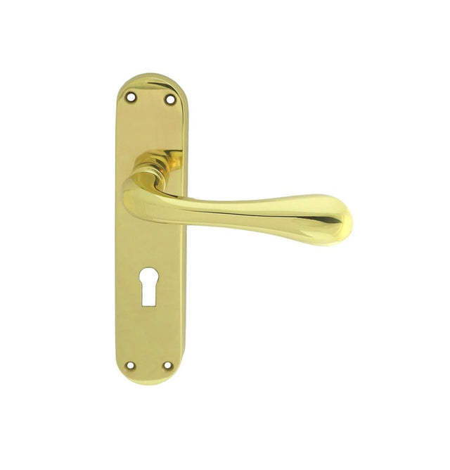 ASTRO LEVER ON BACKPLATE - LOCK 57MM C/C OTL (POLISHED BRASS) - POLISHED BRASS - 185MM X 40MM - PAIR
