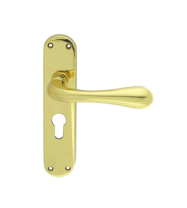 ASTRO LEVER ON BACKPLATE - LOCK EURO PROFILE 47.5MM C/C OTL (POLISHED BRASS) - POLISHED BRASS - 185MM X 41MM - PAIR