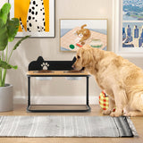 Dog Bowl Stand with 2 Stainless Steel Food Water Bowls