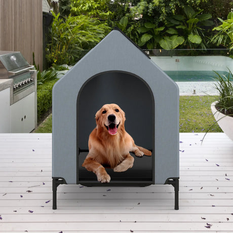 Large Pet House with Ventilated Windows and Removable Cover-M