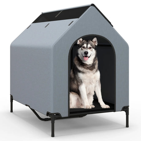 Large Pet House with Ventilated Windows and Removable Cover-M