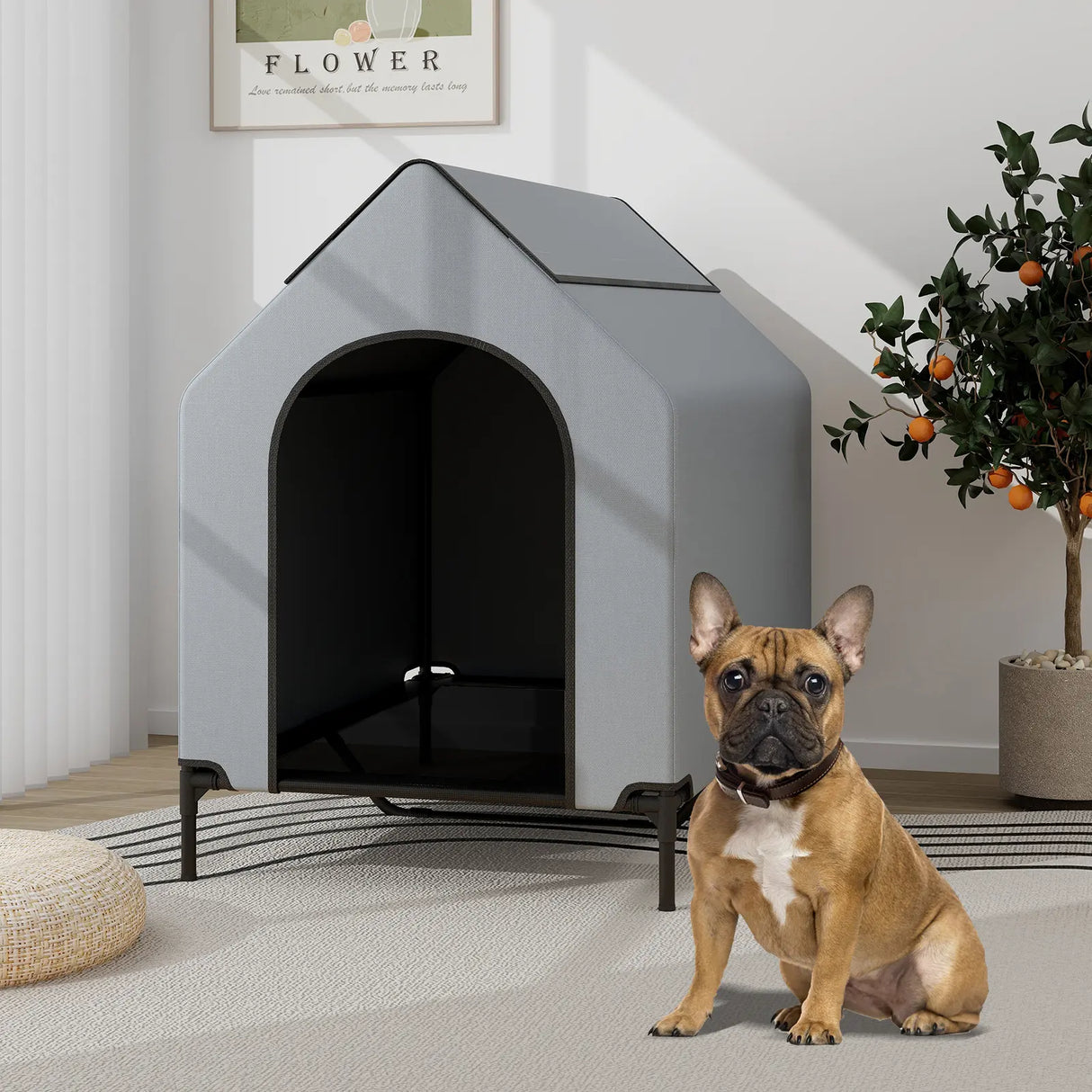Large Pet House with Ventilated Windows and Removable Cover-M