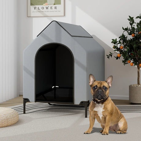 Large Pet House with Ventilated Windows and Removable Cover-M