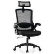 Ergonomic Office Chair with Adjustable Lumbar Support for Home Office-Black