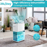 25L/Day Dehumidifier with 6.5L Water Tank and 24H Timer for Home Basement-White