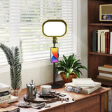 HOMCOM Selfie Light for Video Conference Lighting, Dimmable Desk Lamp with Stand Phone Holder, 5 Colour Modes & 10 Brightness Levels, Memory Function for Home Office, Recording, Video Calls, Black