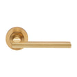 TRENTINO LEVER ON CONCEALED FIX ROUND ROSE - SATIN BRASS - PAIR