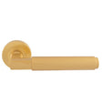 MASANO LEVER ON CONCEALED FIX ROUND ROSE - SATIN BRASS - PAIR