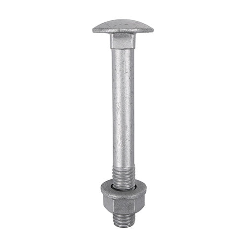 10 x TIMCO Carriage Bolts DIN603, Hex Full Nuts DIN934 & Form A DIN125-A Washer Exterior Silver - M12 x 100