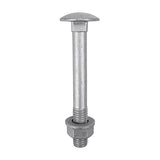 10 x TIMCO Carriage Bolts DIN603, Hex Full Nuts DIN934 & Form A DIN125-A Washer Exterior Silver - M10 x 100