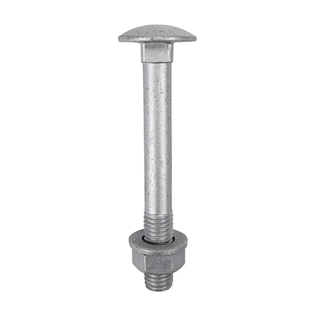 10 x TIMCO Carriage Bolts DIN603, Hex Full Nuts DIN934 & Form A DIN125-A Washer Exterior Silver - M10 x 120