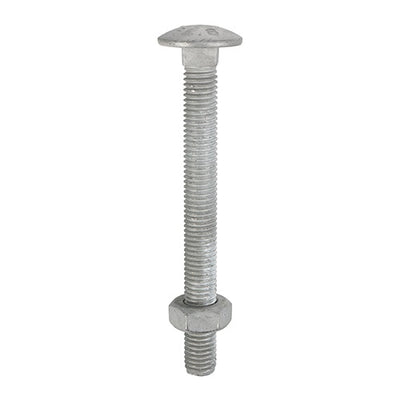 Carriage Bolt & Nut - Hot Dipped Galvanised product image