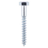 10 x TIMCO Coach Screws Hex Head Silver  - 6.0 x 100