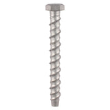 50 x TIMCO Multi-Fix Bolts Hex Head Exterior Silver - 10.0 x 100