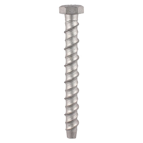 4 x TIMCO Multi-Fix Bolts Hex Head Exterior Silver - 10.0 x 75