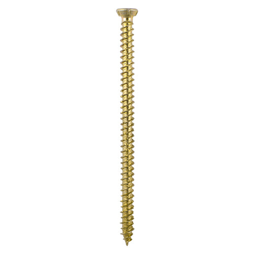 55 x TIMCO Concrete Screws Flat Countersunk Gold - 7.5 x 100