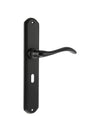 LIMITED EDITION Forme Valence Solid Brass Key Lever Door Handle on Backplate - Matt Black - Set