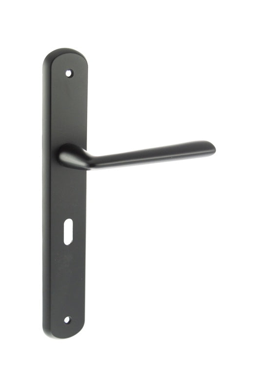 LIMITED EDITION Forme Brigette Solid Brass Key Lever Door Handle on Backplate - Matt Black - Set