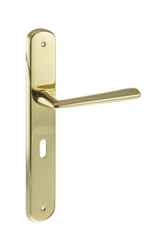 LIMITED EDITION Forme Brigette Solid Brass Key Lever Door Handle on Backplate - Polished Brass - Set