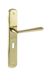 LIMITED EDITION Forme Brigette Solid Brass Key Lever Door Handle on Backplate - Polished Brass - Set