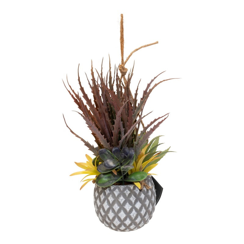 Hanging Succulents in Lattice Design Small Grey Pot