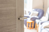 Forme Elle Lever Door Handle on Minimal Round Rose - Satin Nickel - Set