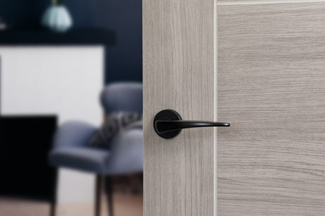 Forme Foglia Lever Door Handle on Minimal Round Rose - Matt Black - Set