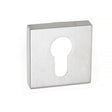 Forme Euro Escutcheons on Minimal Square Rose - Satin Chrome - Pair