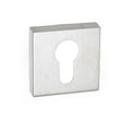CleanTouch Anti-Bac Euro Escutcheons on Minimal Square Rose - Satin Chrome - Pair